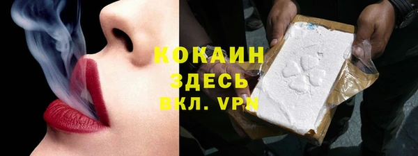 крисы Лагань