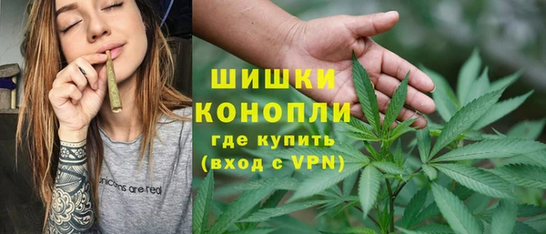 дмт Лабытнанги