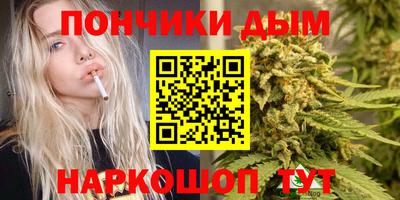 PSILOCYBIN Заволжье