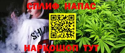 ECSTASY Заводоуковск