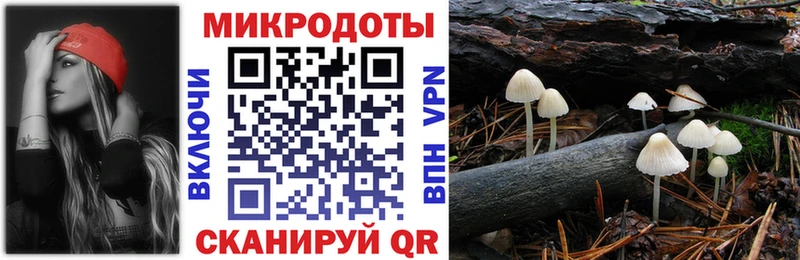 Псилоцибиновые грибы ЛСД  Тайшет 