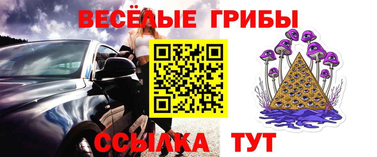 как найти закладки  Галлюциногенные грибы ЛСД  Вход с VPN  Тайшет 