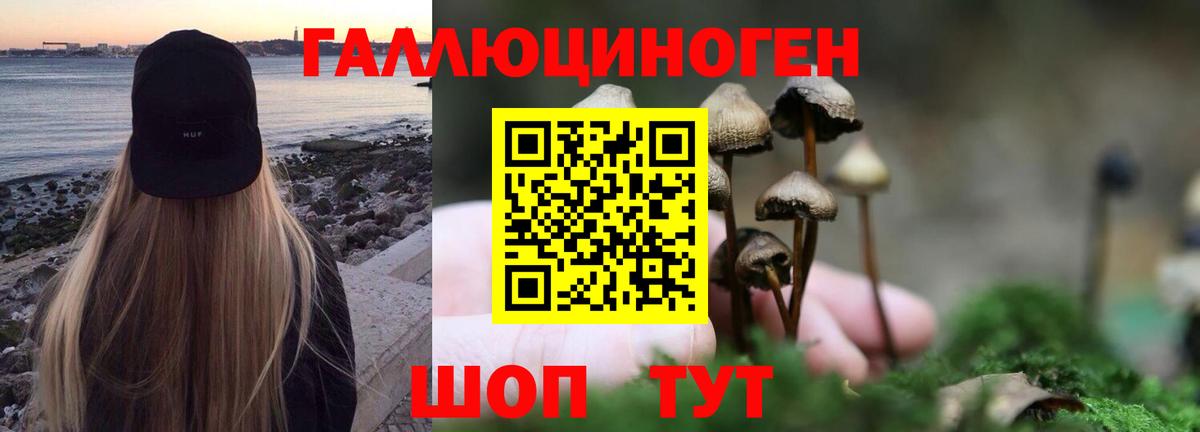 Псилоцибиновые грибы Cubensis Тайшет
