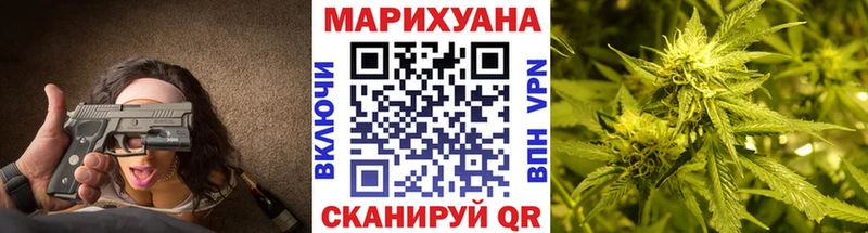 где можно купить наркотик  Тайшет  Марихуана сатива 
