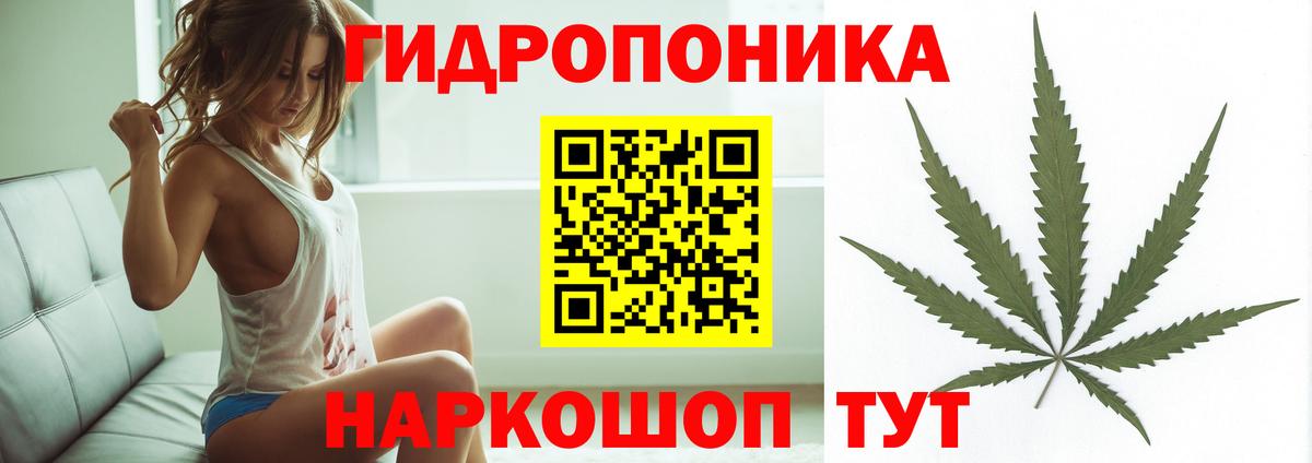 Тайшет  Бошки марихуана гибрид  Марихуана THC 21%  Вход с VPN 